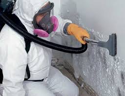 Forensic Mold Investigation in Carbondale, IL